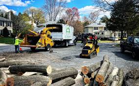 Best Arborist Consultation Services  in Smith Mills, MA