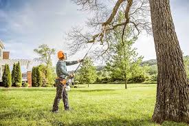 Best Commercial Tree Services  in Smith Mills, MA