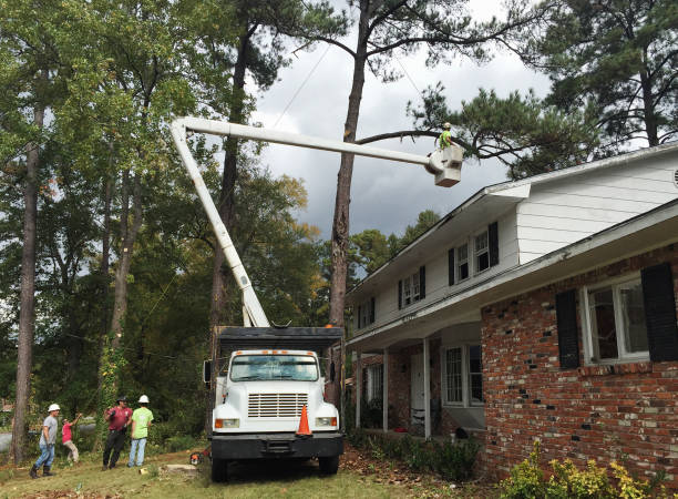 Best Utility Line Clearance  in Smith Mills, MA